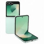 Flip 6 Mint