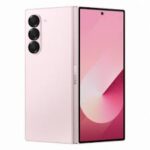 Fold 6