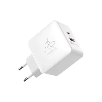 Blaze 25W PD Charger (with C To C Cable)